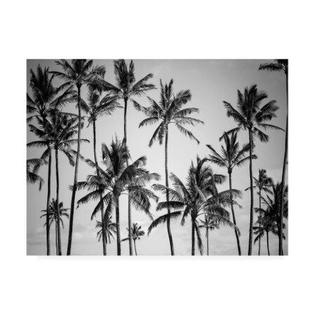 Trademark Fine Art Design Fabrikken 'Palm Heaven Fabrikken' Canvas Art, 24x32 IC01177-C2432GG